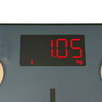 RENPHO Scale